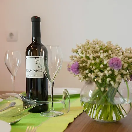 Guest house Partizanska 3*